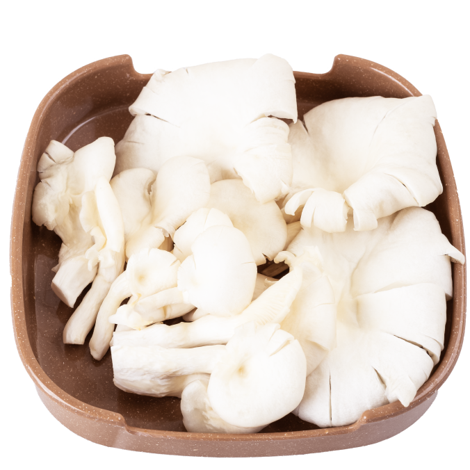 NẤM BÀO NGƯ/ Abalone Mushrooms