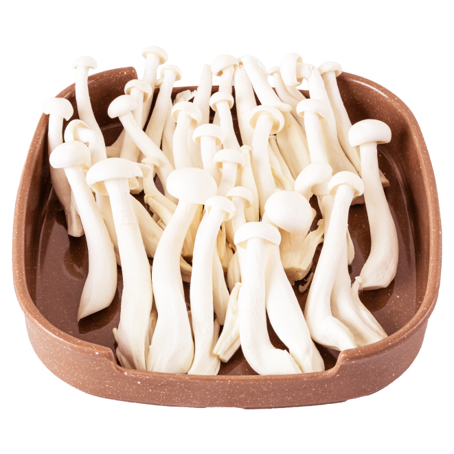 NẤM LINH CHI TRẮNG / White Reishi Mushrooms