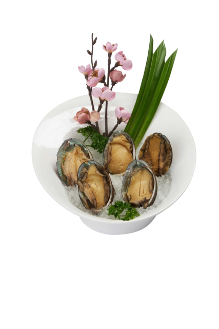 BÀO NGƯ ĐỈNH VỊ