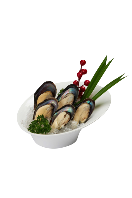 VẸM NEWZELAND CAO CẤP