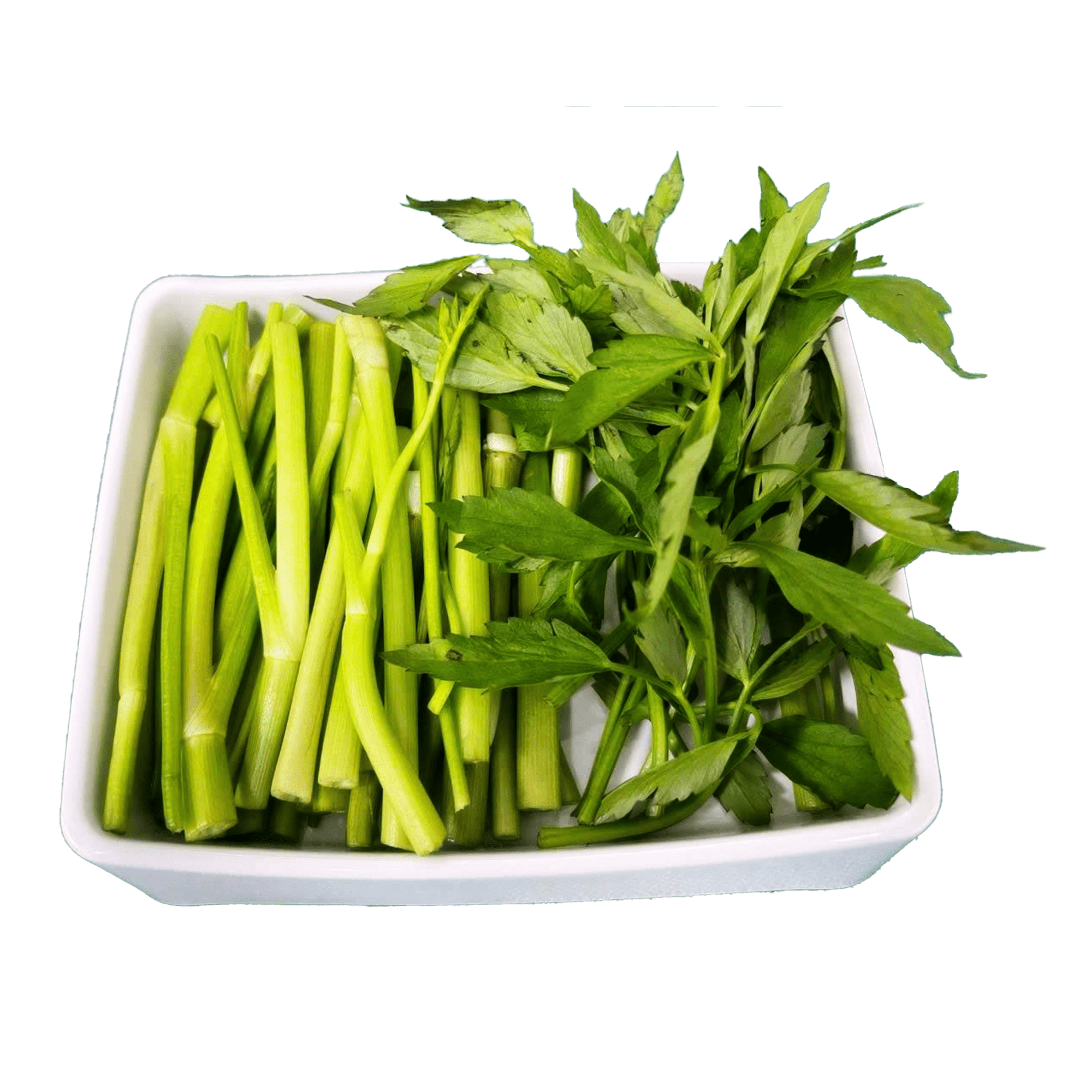 CẦN NƯỚC